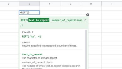 Why we use The REPT Function in EXCEL?