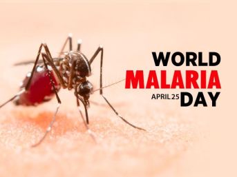 Why do we celebrate World Malaria Day on April 25th?