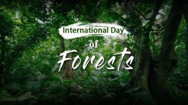 Why do we celebrate World Forestry Day on March 21st?