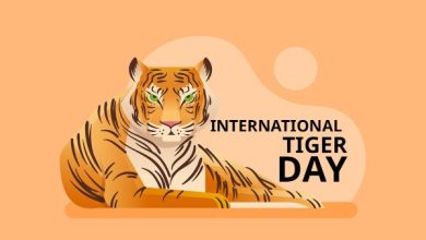 Why do we celebrate International Tiger Day on July 29th?