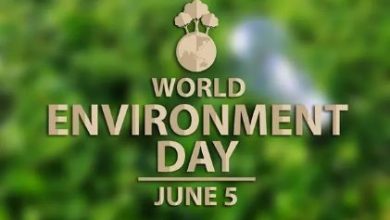 Why do we celebrate World Environment Day on June 5th?