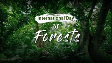 Why do we celebrate World Forestry Day on March 21st?