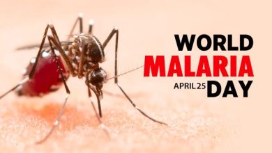 Why do we celebrate World Malaria Day on April 25th?