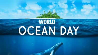 Why do we celebrate World Oceans Day on June 8th?