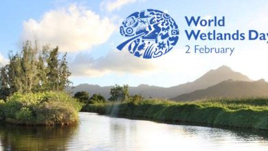 Why do we celebrate World Wetlands Day on February 2nd?