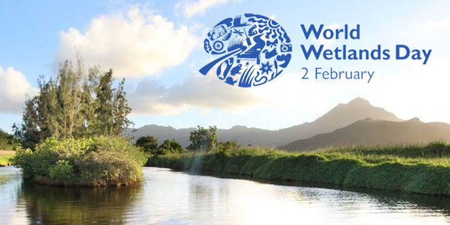 Why do we celebrate World Wetlands Day on February 2nd?