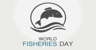 Why do we celebrate World Fisheries day on November 21st?