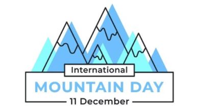 Why do we celebrate International Mountain day on December 11th?