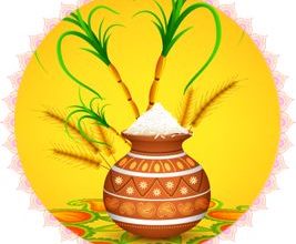 Why do we celebrate Pongal on January 14th?