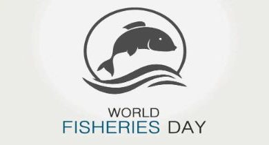 Why do we celebrate World Fisheries day on November 21st?