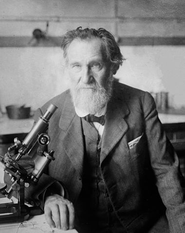 Why was Ilya Ilyich Mechnikov awarded Noble Prize Physiology or Medicine in1908?