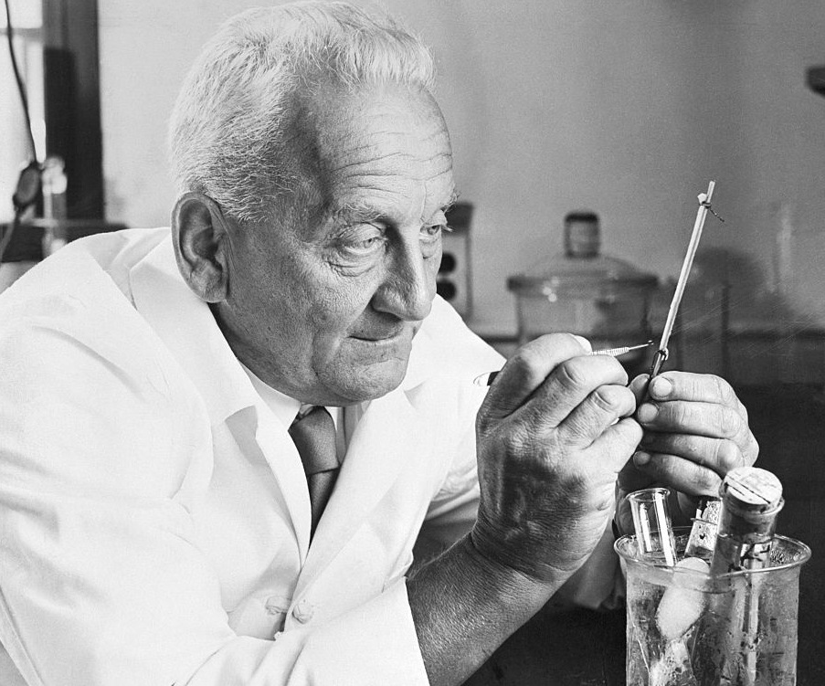 Why was Albert Szent-Györgyi Awarded the Nobel Prize for Physiology or Medicine in 1937?