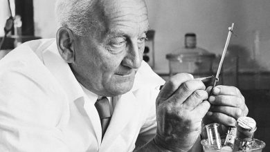 Why was Albert Szent-Györgyi Awarded the Nobel Prize for Physiology or Medicine in 1937?