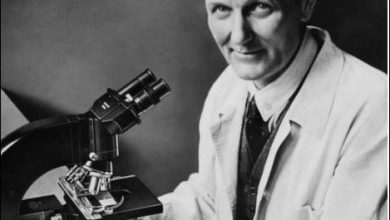 Why was Gerhard Domagk Awarded the Nobel Prize for Physiology or Medicine in 1939?