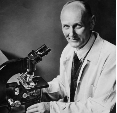 Why was Gerhard Domagk Awarded the Nobel Prize for Physiology or Medicine in 1939?