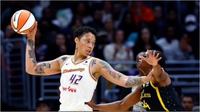 Why Brittney Griner Will Miss at Least Two WNBA Games?