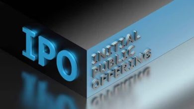 Why Netweb Technologies IPO GMP Subscription Status?