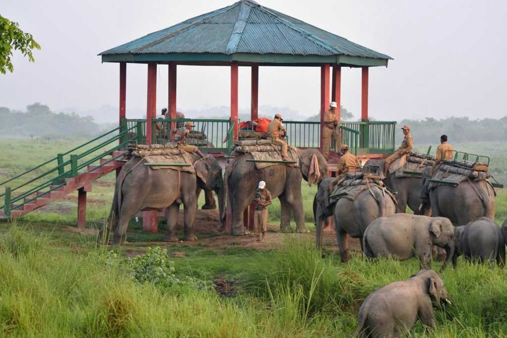 Why did The Kaziranga National Park Become a World Heritage Site?