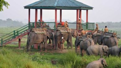 Why did The Kaziranga National Park Become a World Heritage Site?