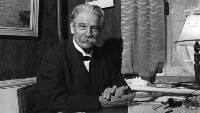 Why was Albert Schweitzer Awarded the Nobel Prize for Peace in 1952?