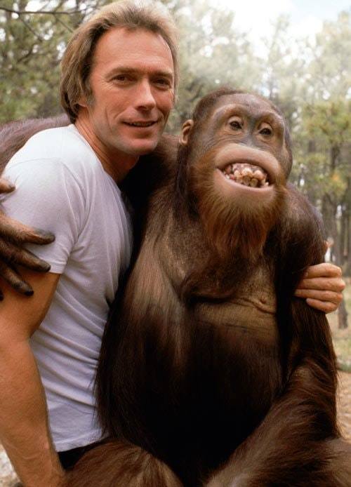 Why Would Clint Eastwood's Riding With An Orangutan Be So Popular?