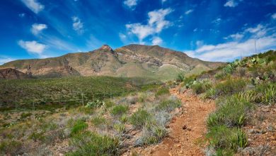 Franklin Mountains prominence