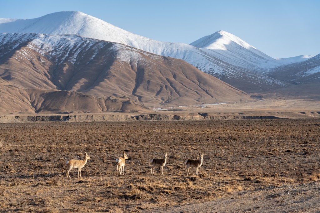 Kunlun Mountains prominence