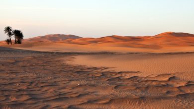 Sahara Mountains Prominence