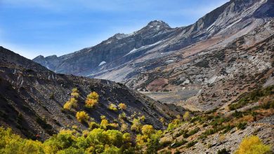 Sayram-Ugam National Park Mountains