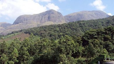 Western Ghats prominence