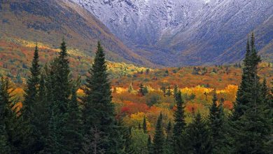 White Mountains prominence