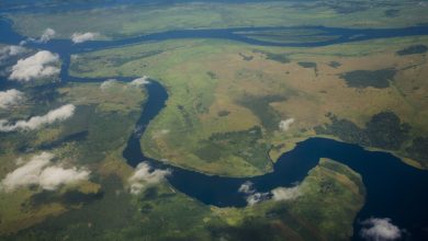 Congo River Currents