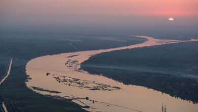 Nile River Delta agriculture