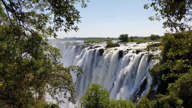 Zambezi River Basin significance