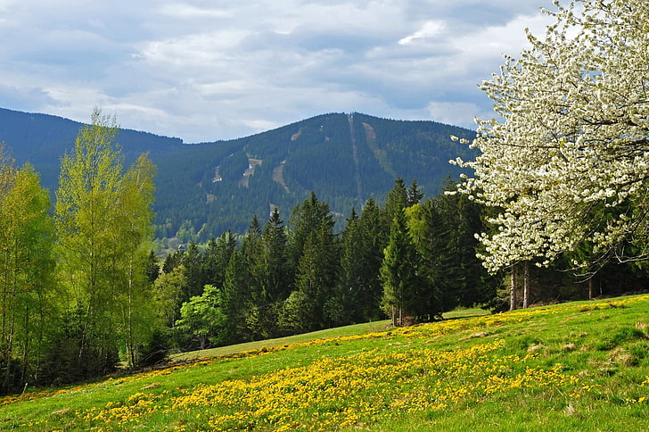 Prominence Of Bohemian Forest Mountains