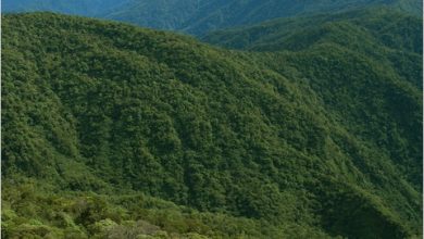 Guadalcanal Range Mountains Prominence