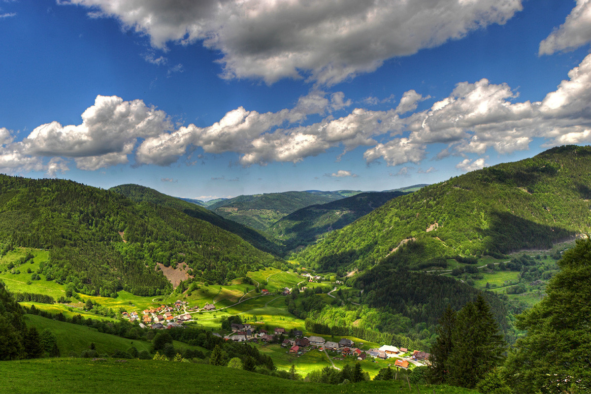 Black Forest Mountains