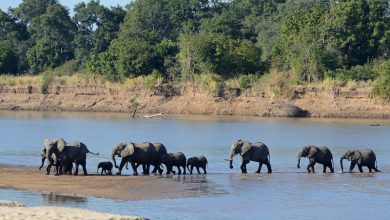 Lurio River Vital Role