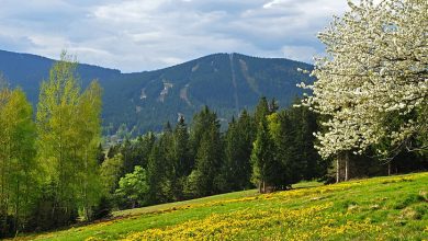 Prominence Of Bohemian Forest Mountains