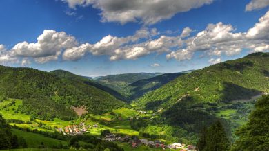 Black Forest Mountains