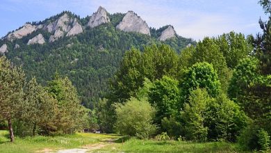 Sudetes Mountains prominence