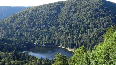 Vosges Mountains prominence