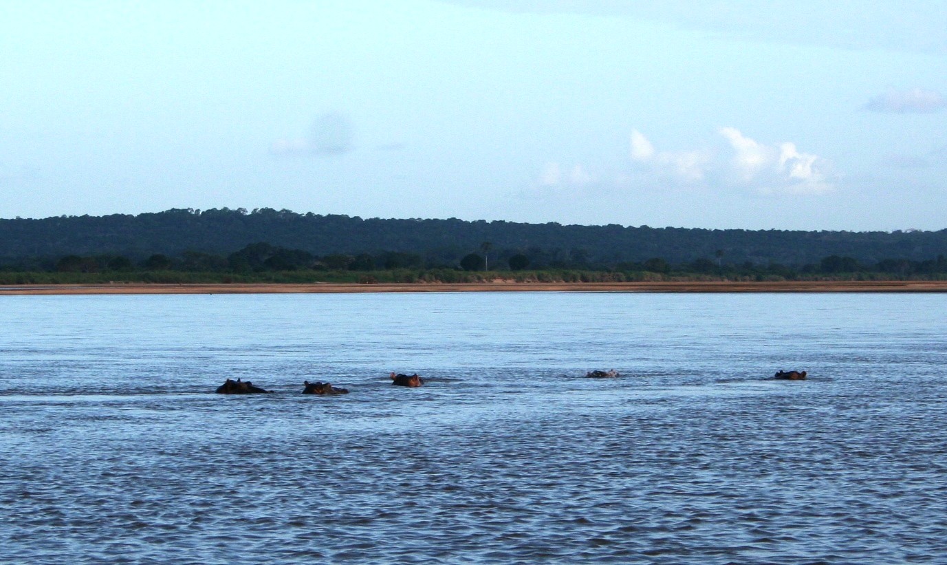 Rovuma River Ecological Significance