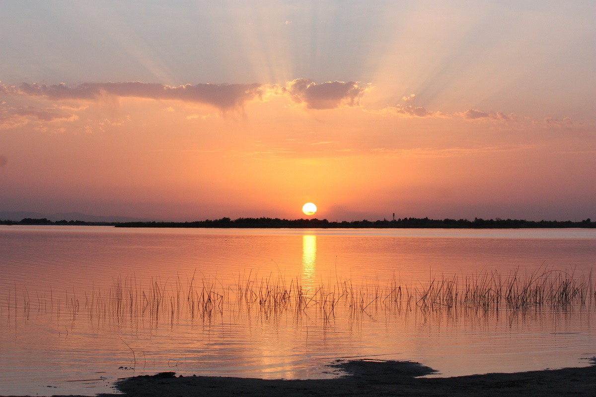 Amu Darya River