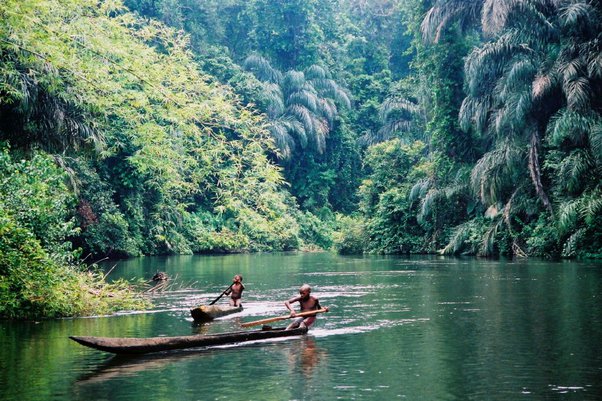 Lobaye River's Importance