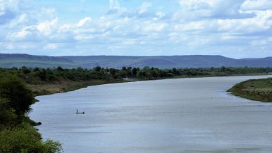 Narmada River