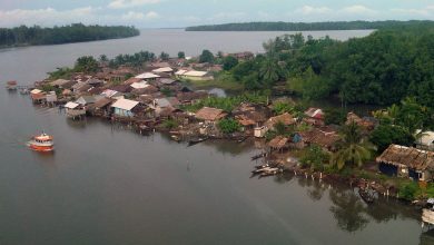 Role of Niger Delta River