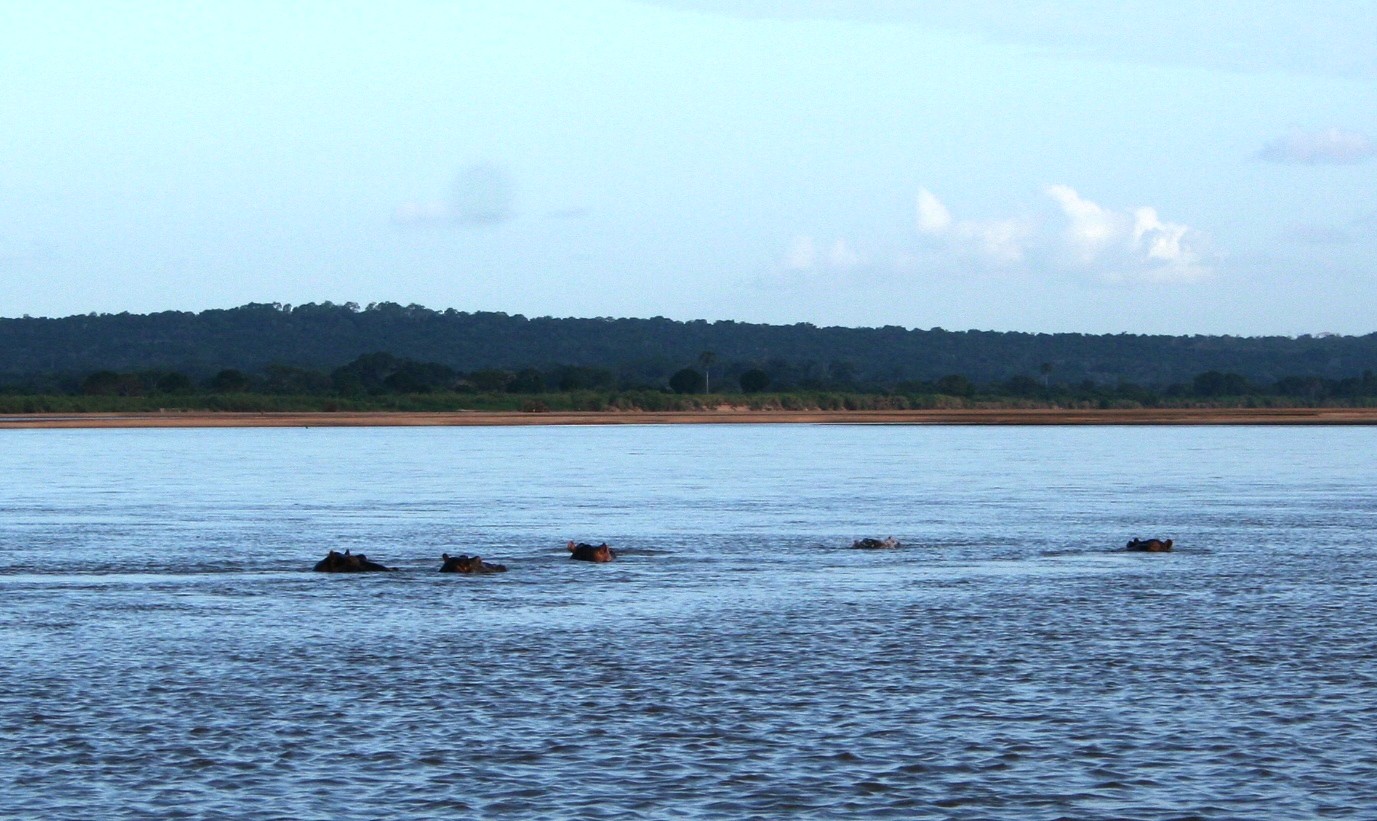 Rovuma River Ecological Significance