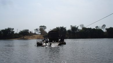 Sankarani River Importance
