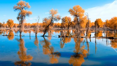 Tarim River